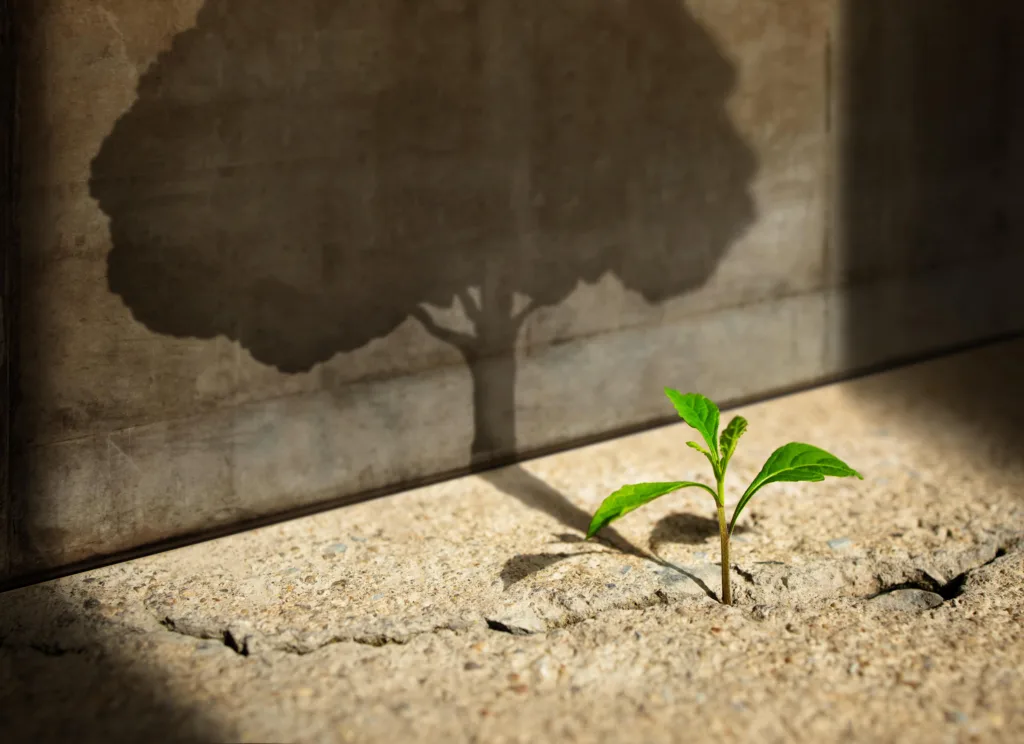 Growth Oriented Firms API blog for ABM